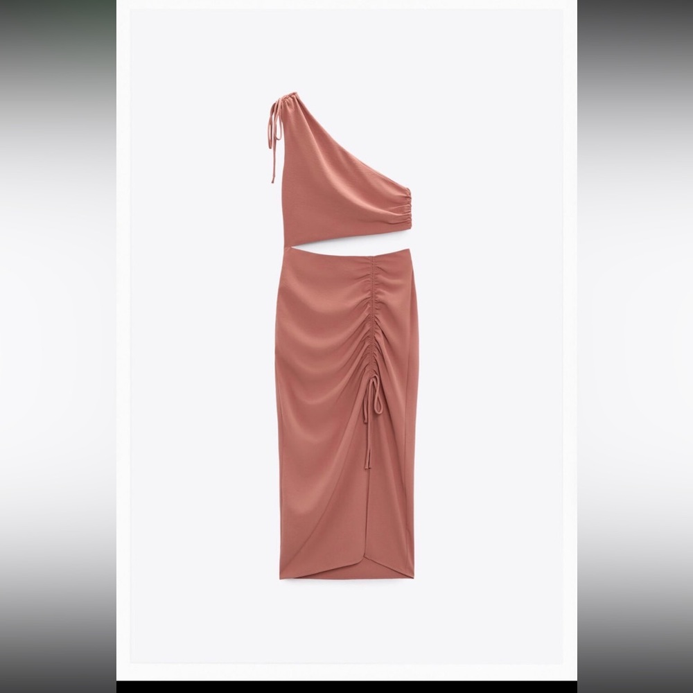 Zara dress